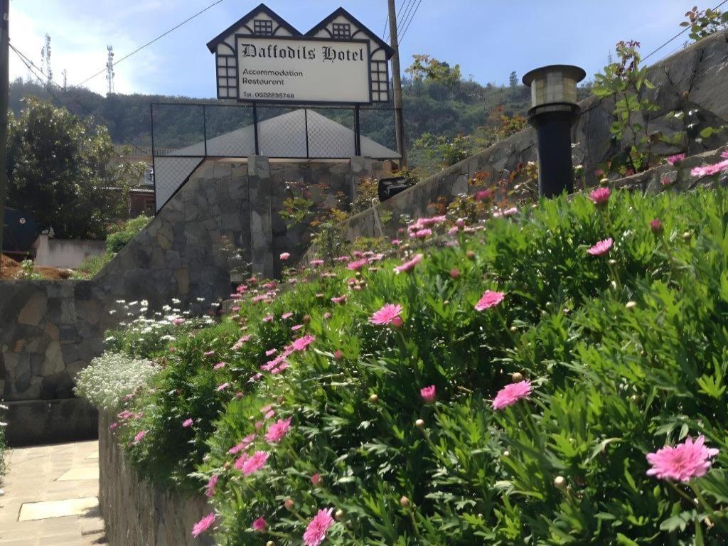 Daffodil'S Hotel Nuwara Eliya Exteriör bild