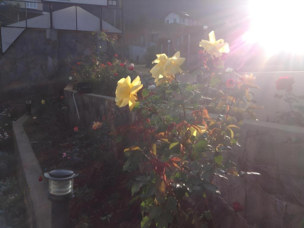 Daffodil'S Hotel Nuwara Eliya Exteriör bild