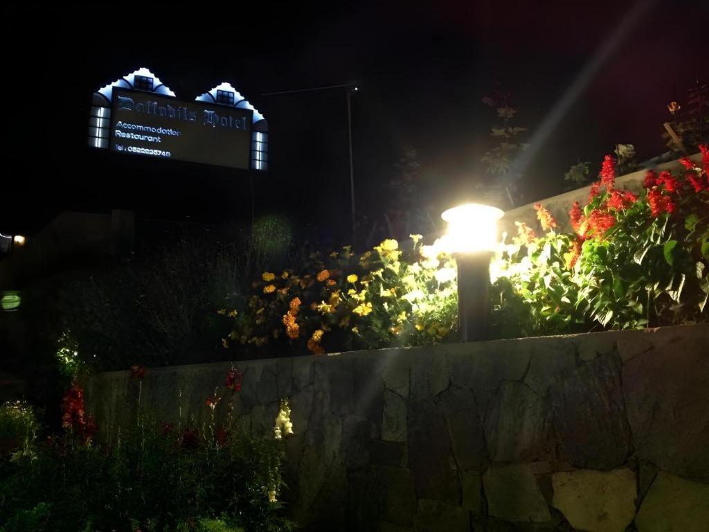 Daffodil'S Hotel Nuwara Eliya Exteriör bild