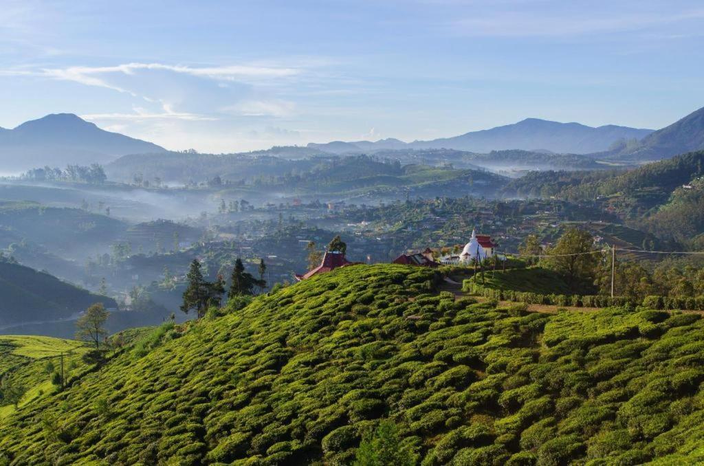 Daffodil'S Hotel Nuwara Eliya Exteriör bild